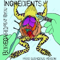 Ingredients (feat. Byou) - Single - Boregard.