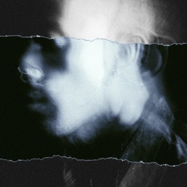 January (feat. DOZ & Le Mav) Hermez