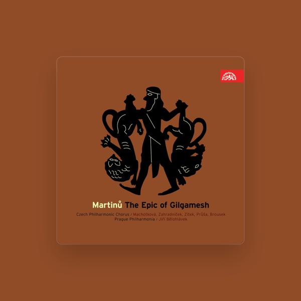 Marcela Machotková's avatar