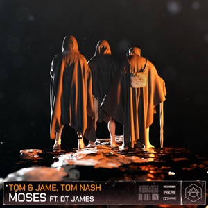 Moses (feat. DT James)