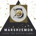Top Notch Gabru