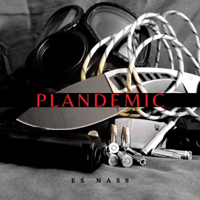Plandemic - Single