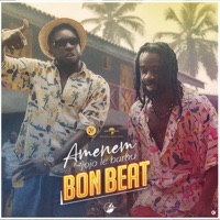 Bon beat (feat. Jojo Le Barbu) - Single - Amenem