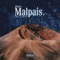 Malpaís - Naserules & DJ Petro lyrics