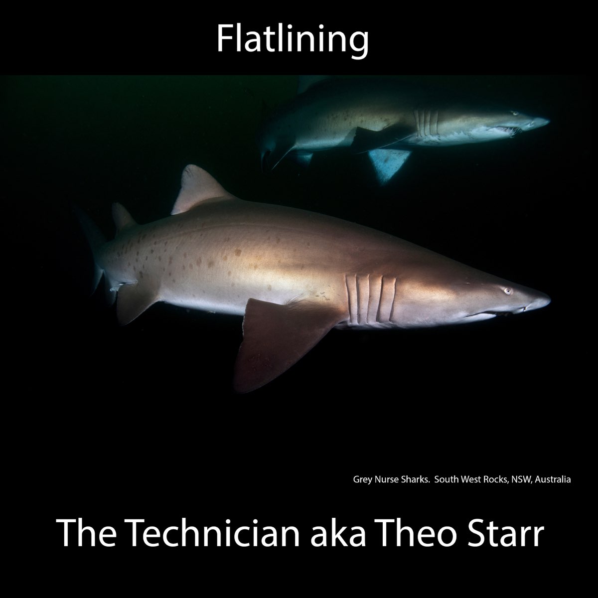 ‎Flatlining - Album by The Technician aka Theo Starr - Apple Music
