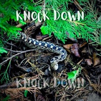 Knock Down - Single - Hydro