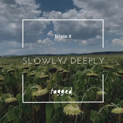 Listen to Slowly /Deeply - Single by Tripio X