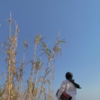 Kuledibi No. 1 - Single - Büşra Kayıkçı