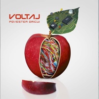 Povestea oricui - Voltaj