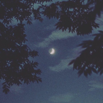 Moonlight - Single