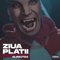 Ziua Platii (feat. Oliniutza & Dj Sfera) - Single - House Killerz