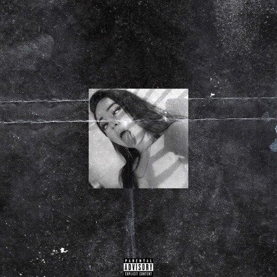 Adoro Essa Vida Louca - Single