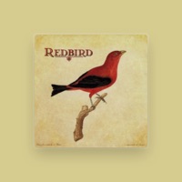 Redbird
