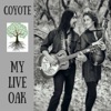 My Live Oak - EP