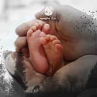 Maestro Time - Mozart : Piano Concerto No.21 In C Major K.467 'Elvira Madigan' – II. Andante