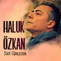 Dost Olmayınca