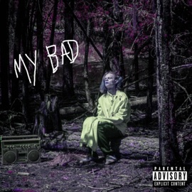 My Bad Flux