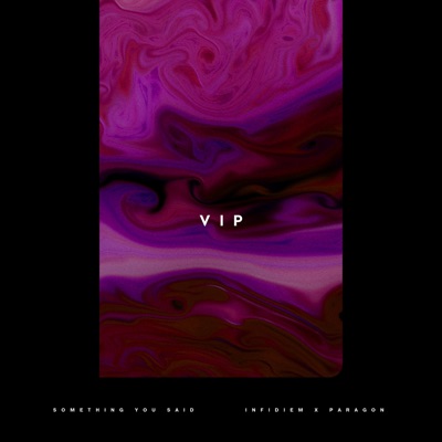 Something You Said - VIP - Single