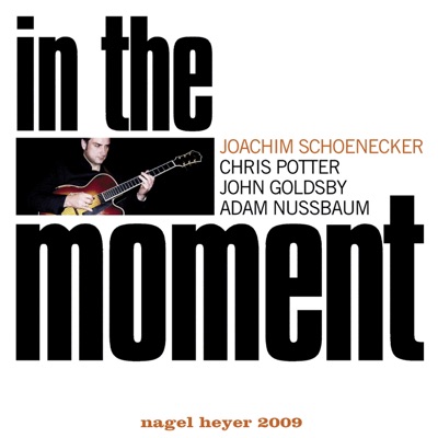 In the Moment (feat. Chris Potter, John Goldsby & Adam Nussbaum)