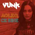 Aoleo, Ce Bine