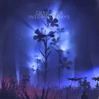 Insomnia Days — Chau Sara