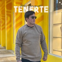 Tenerte - Single - Steve Bouquet