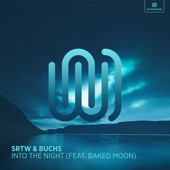 Into the Night (feat. Baked Moon) artwork