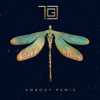 Dreamers (Embody Remix) - TGC & Embody