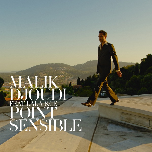 Point sensible (feat. Lala &ce) - Single - Malik Djoudi & Lala &ce