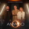 Amado (feat. Marcelo Markes) - Single
