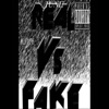 Real vs Fake - EP