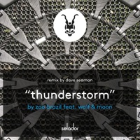 Thunderstorm (feat. W.O.L.F.) - Zoo Brazil & Moon