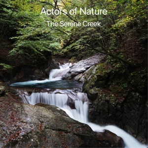 The Serene Creek - EP