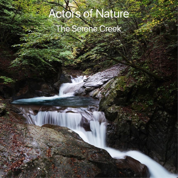The Serene Creek - EP