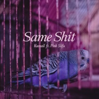 Same Shit (feat. Pink Siifu) - Single - Kumail