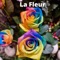 La Fleur - Torfi Olafsson lyrics