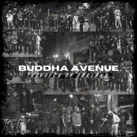 My Fight (feat. Itz Julius) Buddha Avenue