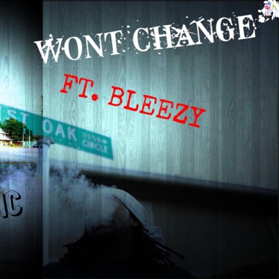 Wont Change - Single