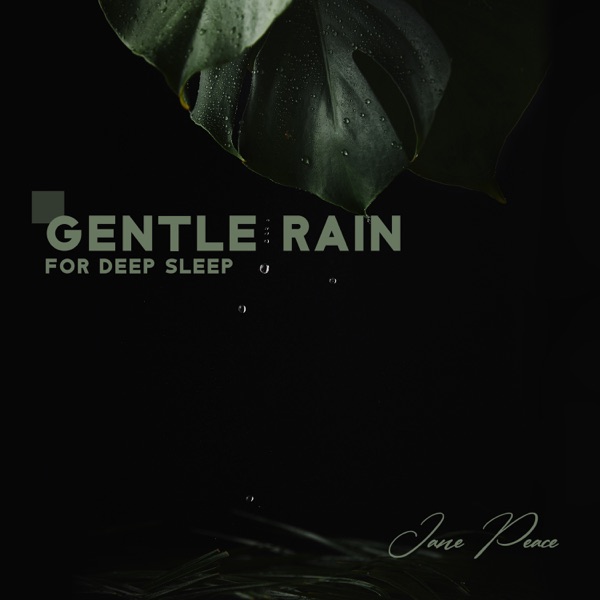 Gentle Rain for Deep Sleep: Nature Mood