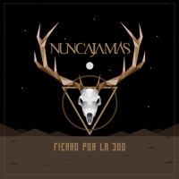 Fierro por la 300 - Nunca Jamás