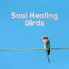 Soul Healer - Soul Healing Birds