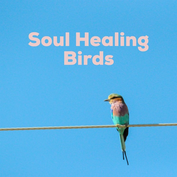 Soul Healing Birds - Single