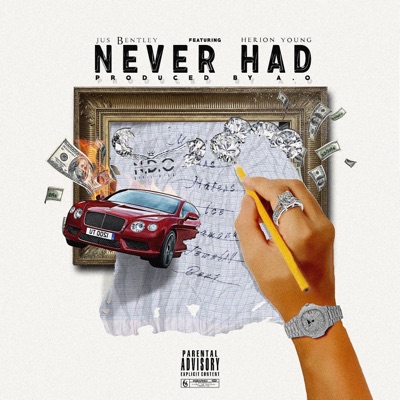 Never Had (feat. Herion Young) - Single