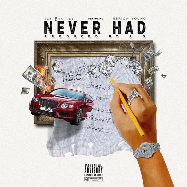 Never Had (feat. Herion Young) - Single album cover
