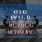 Venice Venture - Big Wild lyrics