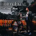 Sen orda mısın