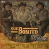 Que Bonito - Single