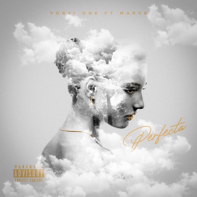 Perfecta (feat. Marce) - Single