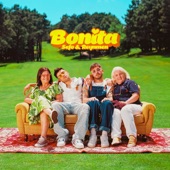 Bonita artwork