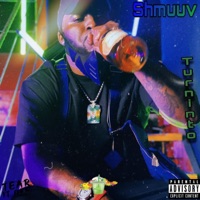 Turn Into - Single - Shmuuv